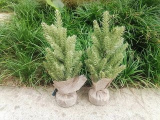 4Pcs New Desktop Artifical Plant Tree 30cm Home Wedding Party (image for) 4Pcs New Desktop Artifical Plant Tree 30cm Home Wedding Party