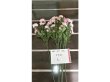 (image for) 7Pcs Pink Flower 59m Long we-flo185