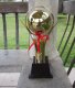 1Pc Golden Plated Trophy Cup Novelty Achievement Award 41cm High
