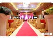 (image for) 1M Long x 1.2M Wide Aisle Carpet Runner Casino Garden Wedding
