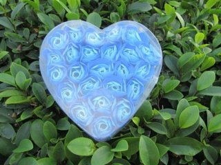 4Boxes x 24 Blue Rose Buds Lover Mother Teacher Gift 4Boxes x 24 Blue Rose Buds Lover Mother Teacher Gift
