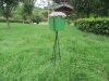 1Set Single Green Modern Flower Plant Display Stand Holder