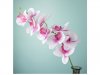 2Pcs White Artificial Moth Orchids Flower Arrangement Home Decor