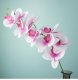 2Pcs White Artificial Moth Orchids Flower Arrangement Home Decor