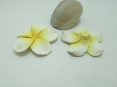20Pcs White Fimo Beads Frangipani Flower Jewellery Finding 45mm 20Pcs White Fimo Beads Frangipani Flower Jewellery Finding 45mm