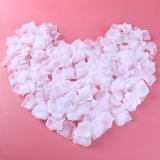 24Packets White Rose Petals Wedding Party Decoration Retail Pack