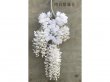12Pc White Artificial Silk Hanging Flower Garland Vine Banyan
