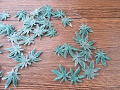 (image for) 5Packs X 50Pcs Green Maple Leaf Clothes Stickers Patch Sewing