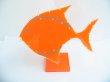 2Pcs Orange Fish Earring Ear Stud Display Stand Hold 12prs (image for) 2Pcs Orange Fish Earring Ear Stud Display Stand Hold 12prs