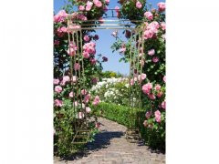 1X Golden Heavy Duty Large Square Wedding Arch Backdrop 1.2x2m 1X Golden Heavy Duty Large Square Wedding Arch Backdrop 1.2x2m