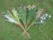 12Pcs New Artificial Vines Plants Home Garden Decoration (image for) 12Pcs New Artificial Vines Plants Home Garden Decoration