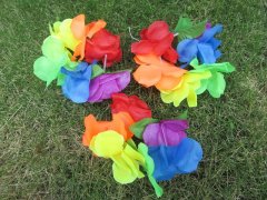 (image for) 12Pcs (6Prs) Hawaiian Dress Party Flower Leis/Lei Bracelet