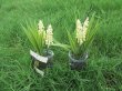 6Pcs Hanging Artificial Plant Flower Potted Plants Home Decor