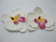 (image for) 20 Hawaiian Phalaenopsis Orchid Foam Flower Embellishments White