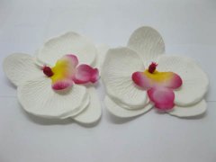(image for) 20 Hawaiian Phalaenopsis Orchid Foam Flower Embellishments White