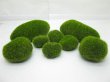 (image for) 5Packs X 8Pcs Green Artificial Foam Moss Stone Decor