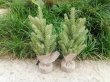 4Pcs New Desktop Artifical Plant Tree 30cm Home Wedding Party