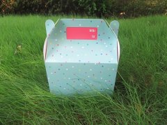 (image for) 2Packs x 8Pcs Dotted Loot Boxes Gable Gift Boxes Wedding Party F