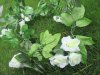 2Pcs Light Green Artificial Rose Leaf Garland Vine String Decor