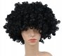 2Pcs Funny Unisex Dress up Black Curly Hair Wig Cosplay Party Fa