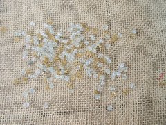 (image for) 450g (6000Pcs) Bicone Faceted Crystal Glass Beads 4mm Mixed