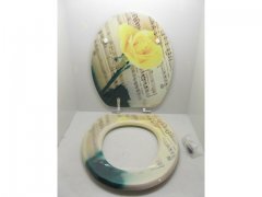 1X New Unique Rose Flower Toilet Seat & Cover