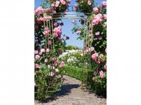 1X Golden Heavy Duty Large Square Wedding Arch Backdrop 1.2x2m 1X Golden Heavy Duty Large Square Wedding Arch Backdrop 1.2x2m