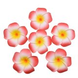 50 New Pink & Yellow Fabulous Foam Frangipani Flower 4.5x3cm
