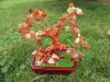 1X New Treasure Red Aventurine Feng Shui Money Tree 126 Gemstone 1X New Treasure Red Aventurine Feng Shui Money Tree 126 Gemstone