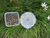 5X Portable Collection Camping Food Box Storage Container 800ML 5X Portable Collection Camping Food Box Storage Container 800ML