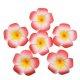 50 New Pink & Yellow Fabulous Foam Frangipani Flower 4.5x3cm