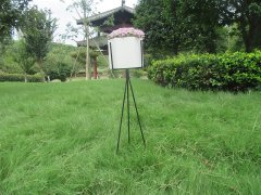 (image for) 1Set Single White Modern Flower Plant Display Stand Holder