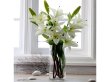 (image for) 4X Wedding Clear Glass Cylinder Table Flower Vases 20x12cm