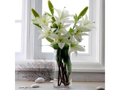 (image for) 4X Wedding Clear Glass Cylinder Table Flower Vases 20x12cm