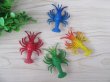 (image for) 24 Growing Pet Hatching Lobster Kids Toy Mixed Color