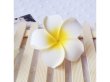 (image for) 30 New Fabulous Foam Frangipani Flower 8x3.5cm