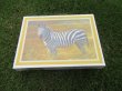 1Set of 500Pcs Zebra Puzzle Jigsaw Puzzles Education Toys (image for) 1Set of 500Pcs Zebra Puzzle Jigsaw Puzzles Education Toys