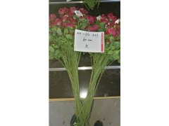 (image for) 10Pcs Red Flower 60cm Long we-flo201