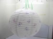 5 Butterfly Printing Paper Lantern for Decoration 40cm co-ot175 (image for) 5 Butterfly Printing Paper Lantern for Decoration 40cm co-ot175