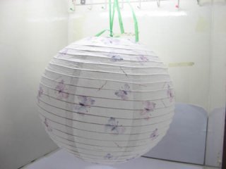 5 Butterfly Printing Paper Lantern for Decoration 40cm co-ot175