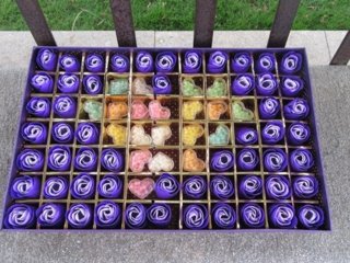 1Boxes x 53 Purple Rose Buds Lover Mother Teacher Gift W/Case