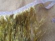 (image for) 4Pcs Self-Adhensive Metallic Tinsel Foil Backdrop Streamer Party