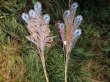 6Pcs Artificial Peacock Tail Eye Feathers Centerpiece Decor (image for) 6Pcs Artificial Peacock Tail Eye Feathers Centerpiece Decor