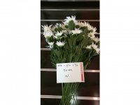 5Pcs White Flower 50cm Long we-flo170