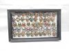 50Pcs Metal Skull Ring with Rhinestone Assorted Design 50Pcs Metal Skull Ring with Rhinestone Assorted Design