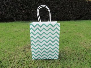 48 Bulk Waved Kraft Paper Gift Carry Shopping Bag 22x16x8cm Gree