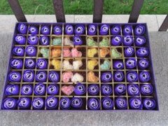 1Boxes x 53 Purple Rose Buds Lover Mother Teacher Gift W/Case