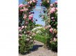 1X Golden Heavy Duty Large Square Wedding Arch Backdrop 1.2x2m