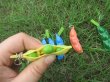 (image for) 6Packsx6Pcs Peanut Squeezy Squishy Toy Stress Relief Venting Toy