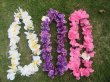 (image for) 4 x 12 Pieces Hawaiian Dress Party Flower Frangipani Flower Petal